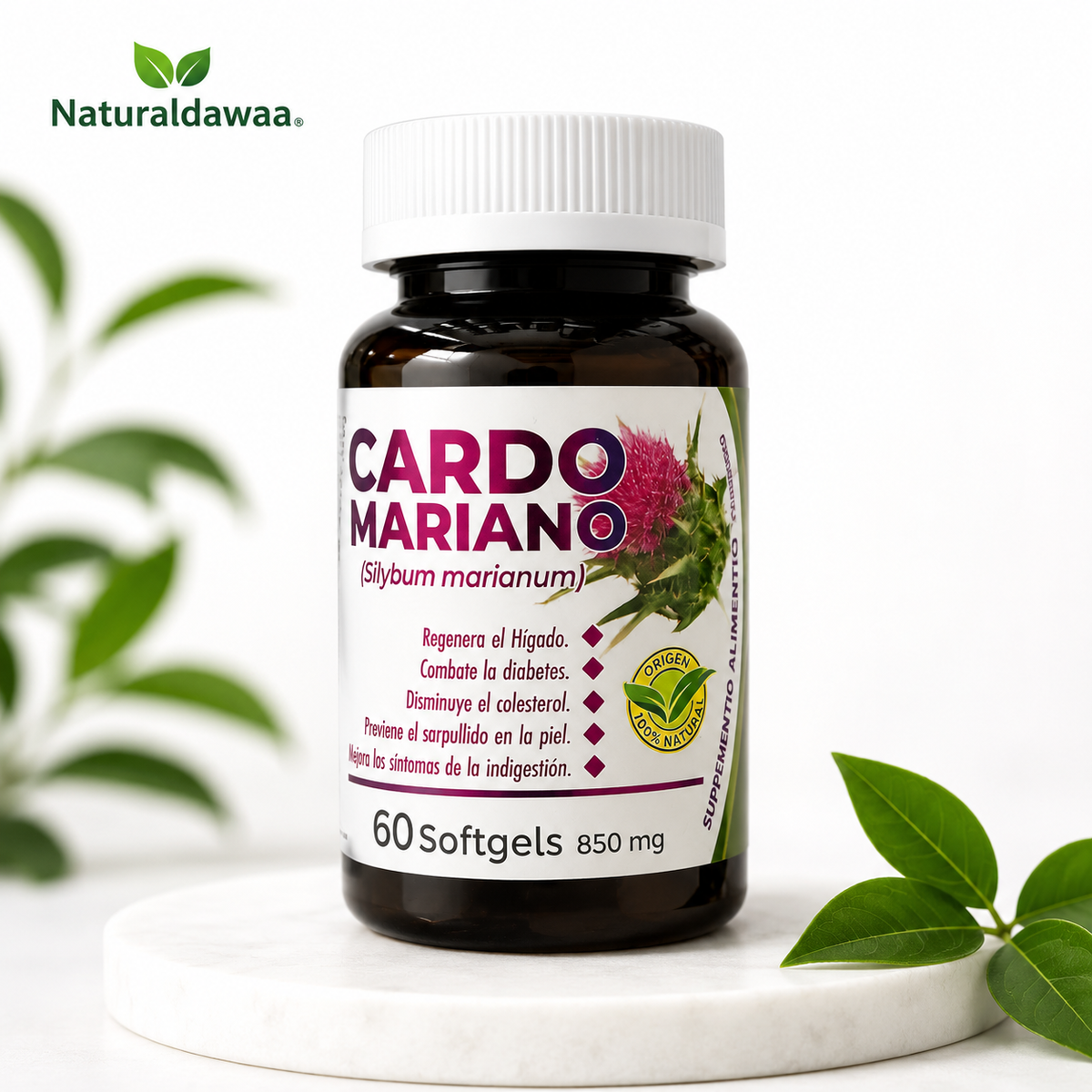 Cardo Mariano (Milk Thistle) Herbal Supplement – 60 Softgels, 850 mg