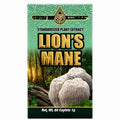 Lion's Mane Mushroom Supplement - Standardized Plant Extract for Brain & Focus Support - 60 Caplets