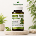 Chanca Piedra Stone Breaker Herbal Dietary Supplement, Traditional Botanical Wellness Formula, 60 Softgels, 500 mg Each
