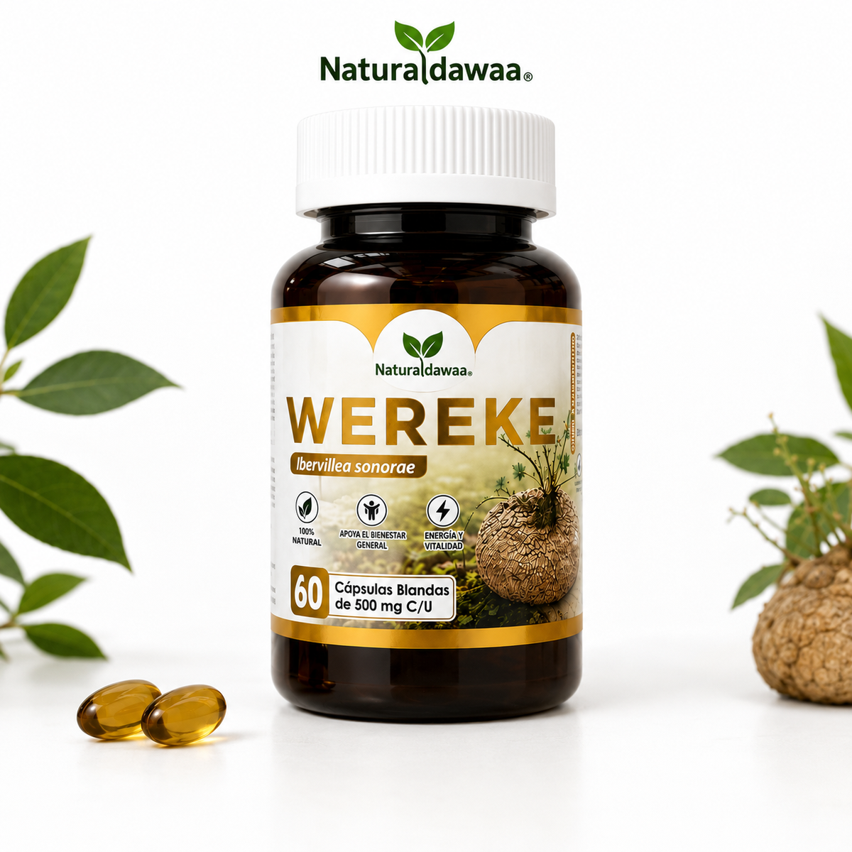 Wereke (Ibervillea sonorae) Herbal Dietary Supplement – 60 Softgels, 500 mg Each
