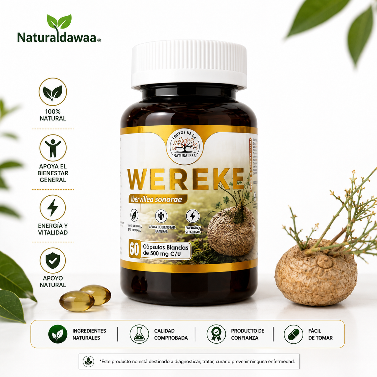 Wereke (Ibervillea sonorae) Herbal Dietary Supplement – 60 Softgels, 500 mg Each