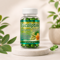 Eucaliptine Guaiacol with Eucalyptus Extracts, Herbal Respiratory Wellness Formula, 60 Softgels, 500 mg Each