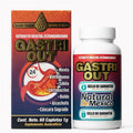 GASTRI OUT Herbal Digestive Support Supplement – 60 Caplets (1g Each) with Mint, Aloe Vera, Boldo, Artichoke & Lactobacillus