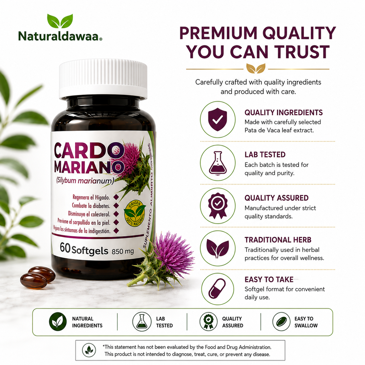Cardo Mariano (Milk Thistle) Herbal Supplement – 60 Softgels, 850 mg