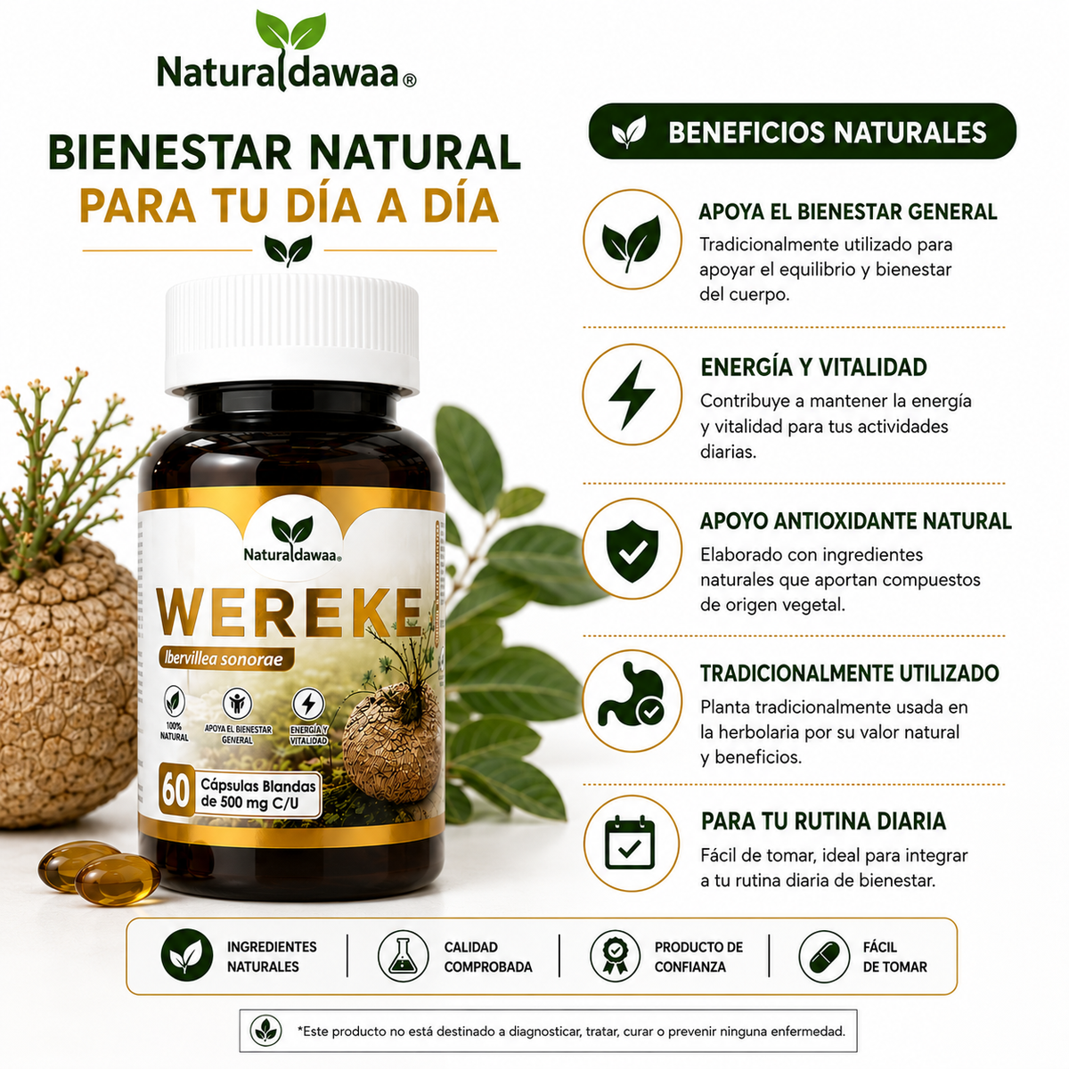 Wereke (Ibervillea sonorae) Herbal Dietary Supplement – 60 Softgels, 500 mg Each