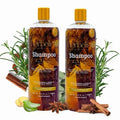 Herbalista Herbal Shampoo Bundle 2 x 1000ml with Rosemary Cinnamon Aloe Ginger Eucalyptus